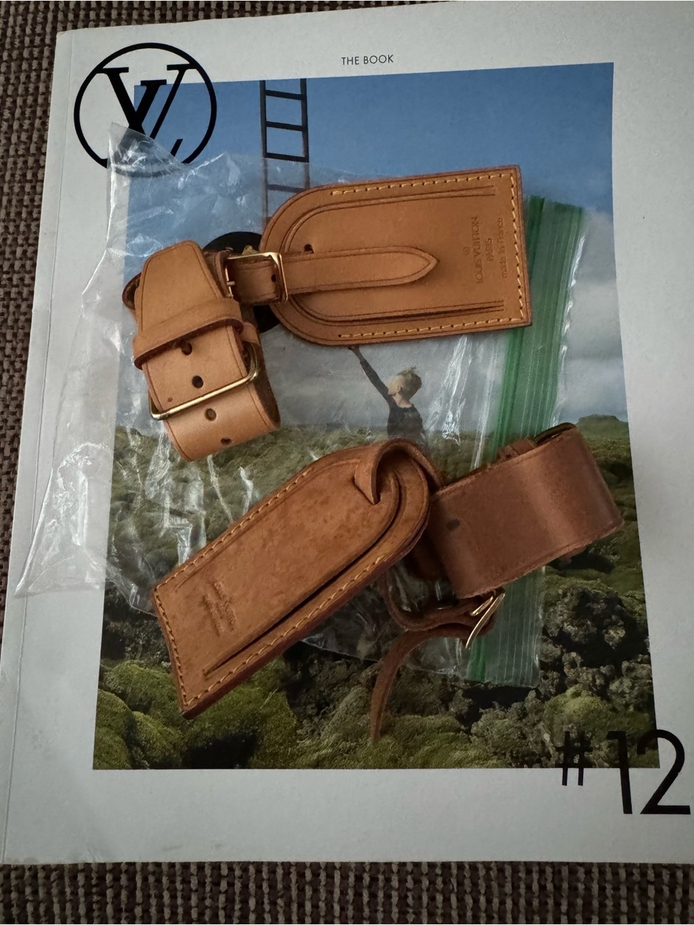 Leather Luggage Tag and Strap Set - Tan